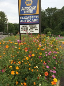 Elizabeth Auto Care Flower Garden